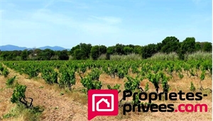 maison à la vente -   83550  VIDAUBAN, surface 226 m2 vente maison - UBI444371870